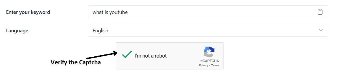 how to use youtube tag generator step2